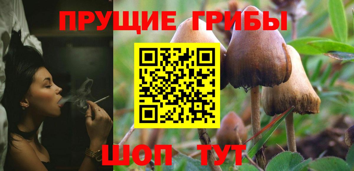 Псилоцибиновые грибы ЛСД  Вход с VPN  Похвистнево 
